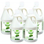 Bhumija Lifesciences Neem Juice (Sugar Free) 1 Ltr. (Pack of Five) Bhumija Lifesciences Neem Juice (Sugar Free) 1 Ltr. (Pack of Five)