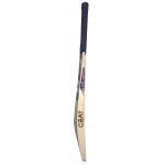 Ceat Gripp Star Mens English Willow Bat