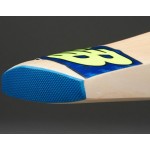 New Balance DC 480 Kashmir Willow Cricket Bat (SH)