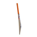 Protos Typhoon Kashmir Willow Bat (SH)