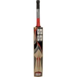 SS Yuvi 20 20 Kashmir Willow Cricket Bat (SH)