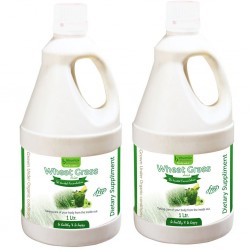 Bhumija Lifesciences Wheat Grass Juice (with Aloevera & Amla) Sugar Free 1 Ltr. (Pack of Two)