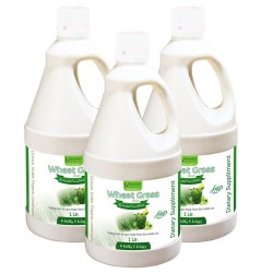 Bhumija Lifesciences Wheat Grass Juice (with Aloevera & Amla) Sugar Free 1 Ltr. (Pack of Three)