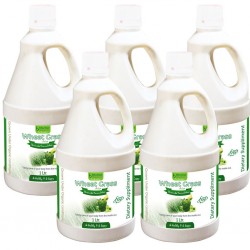 Bhumija Lifesciences Wheat Grass Juice (with Aloevera & Amla) Sugar Free 1 Ltr. (Pack of Five)