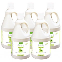 Bhumija Lifesciences Amla Juice (Sugar Free) 1 Ltr. (Pack of Five)