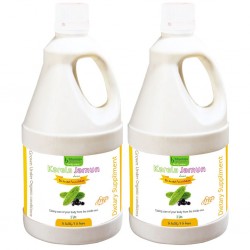 Bhumija Lifesciences Karela Jamun Juice (Sugar Free) 1 Ltr. (Pack of Two)