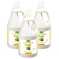 Bhumija Lifesciences Karela Jamun Juice (Sugar Free) 1 Ltr. (Pack of Three)
