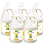 Bhumija Lifesciences Karela Jamun Juice (Sugar Free) 1 Ltr. (Pack of Five)