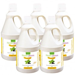 Bhumija Lifesciences Karela Jamun Juice (Sugar Free) 1 Ltr. (Pack of Five)