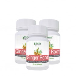 Bhumija Lifesciences Ginger Root Capsules 60's (Pack of Three)