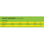 Cosco Dynamite Kashmir Willow Cricket Bat