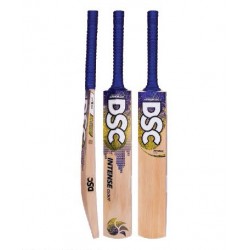 DSC Intense Clout Kashmir Willow Cricket Bat