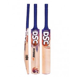 DSC Intense Zing Kashmir Willow Cricket Bat