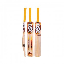 DSC Wildfire Heat Kashmir Willow Cricket Bat