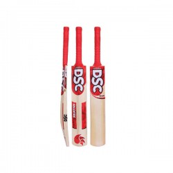 DSC Wildfire Scorcher (Front Tape) Kashmir Willow Cricket Bat