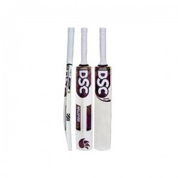 DSC Wildfire Ignite Kashmir Willow Cricket Bat