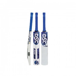 DSC Roar Range Terra Kashmir Willow Cricket Bat