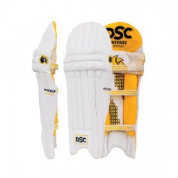 DSC Intense Attitude Batting Leg Guards