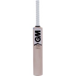 GM Icon Select Kashmir Willow Cricket Bat