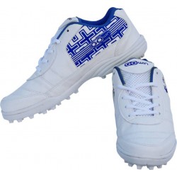 Gowin CS-304 Advance Cricket Shoes