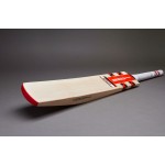 Gray Nicolls F18 GN5 English Willow Cricket Bat (SH)