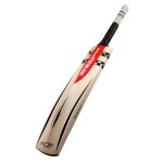 Gray Nicolls Oblivion E41 GN+ English Willow Cricket Bat
