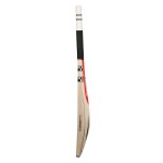 Gray Nicolls Oblivion E41 GN+ English Willow Cricket Bat