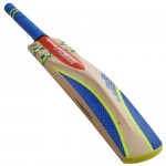 Gray Nicolls Omega XRD GN3 English Willow Cricket Bat (SH)