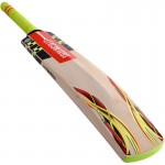 Gray Nicolls Powerbow5 GN6 Lite English Willow Cricket Bat (SH)