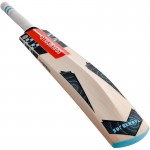 Gray Nicolls Supernova GN9 English Willow Cricket Bat (SH)