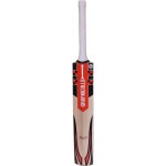 Gray Nicolls F18 Pulse Kashmir Willow Cricket Bat