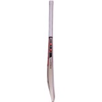 Gray Nicolls F18 Pulse Kashmir Willow Cricket Bat