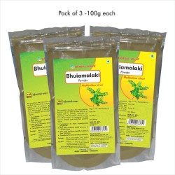 Herbal Hills Bhuiamlaki Powder 100 Gms Powder