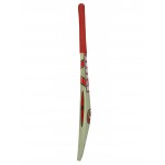 HRS Gold Kashmir Willow Cricket Bat (Size 5)