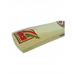 HRS Gold Kashmir Willow Cricket Bat (Size 5)