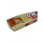 HRS World Cup Kashmir Willow Cricket Bat (Size 6)