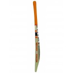 HRS Dynamic Kashmir Willow Cricket Bat