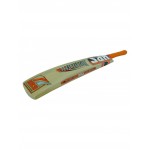 HRS Dynamic Kashmir Willow Cricket Bat