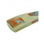 HRS Dynamic Kashmir Willow Cricket Bat