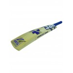 HRS Plus Power Kashmir Willow Cricket Bat