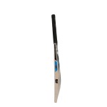 SF Power Spot Kashmir Willow Cricket Bat