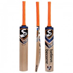 SG RSD Plus Kashmir Willow Cricket Bat