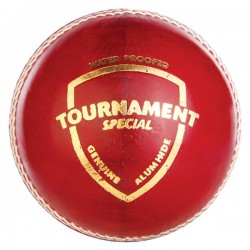 SG Tournament Special Cricket Leather Ball