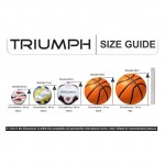 Triumph vb-202 signature moulded volleyball