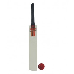 Wasan Bat and Ball Size 6 Cricket Kit