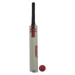 Wasan Bat and Ball Size 5 Cricket Kit