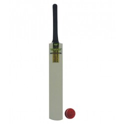 Wasan Bat and Ball Size 6 Cricket Kit