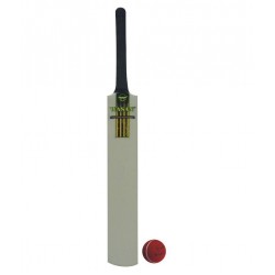 Wasan Bat and Ball Size 5 Cricket Kit