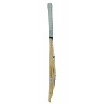BDM Terminator English Willow Cricket Bat (SH)